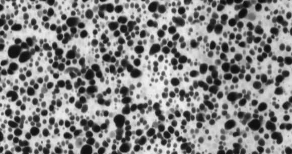 Morphology image from a transmission electron microscope (TEM)