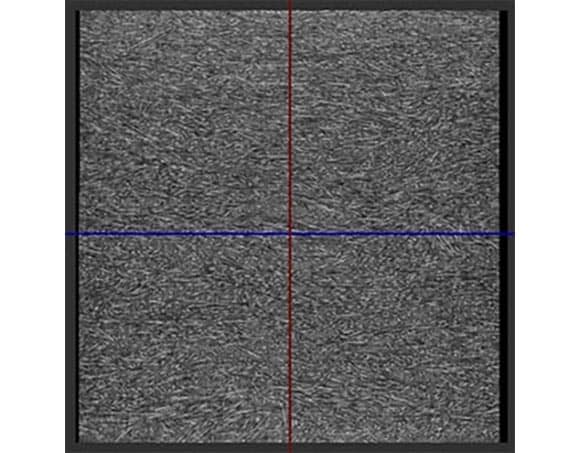 Carbon fibers in PPS resin using Toray technology and the orientation tensor